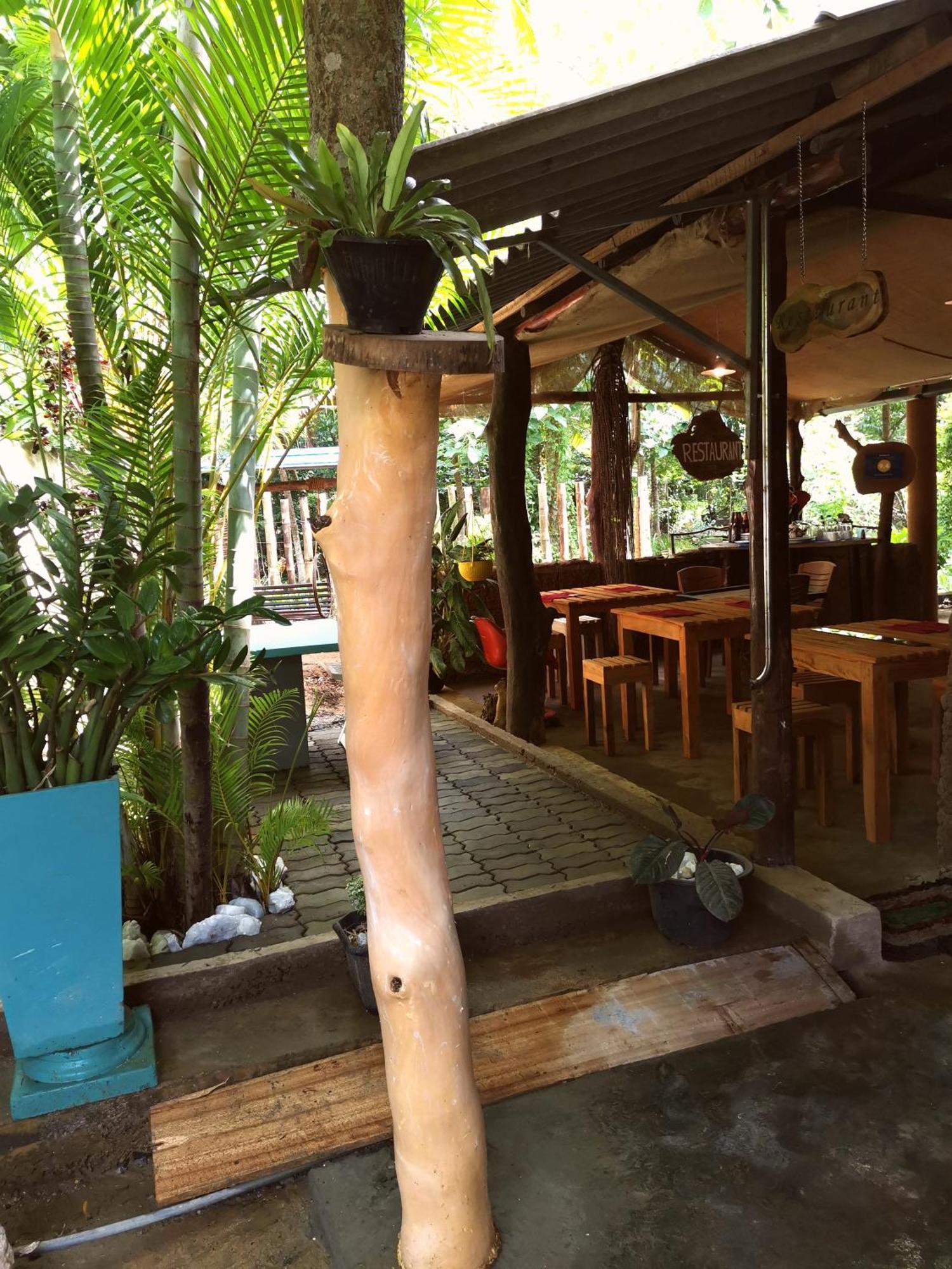 Peacock'S Paradise Safari Hostel Udawalawe Luaran gambar